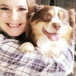 Duke - Miniature Australian Shepherd