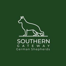 German Shepherd All Grown Up from John Moyle