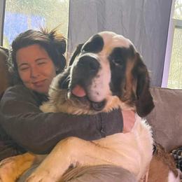 Miska  - Saint Bernard