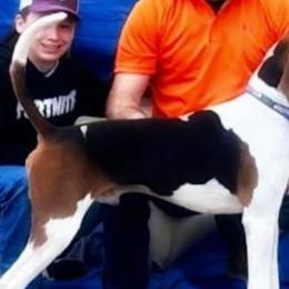 Treeing Walker Coonhounds from Cherry creek kennel