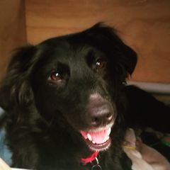 Lucy - Sporty Mix