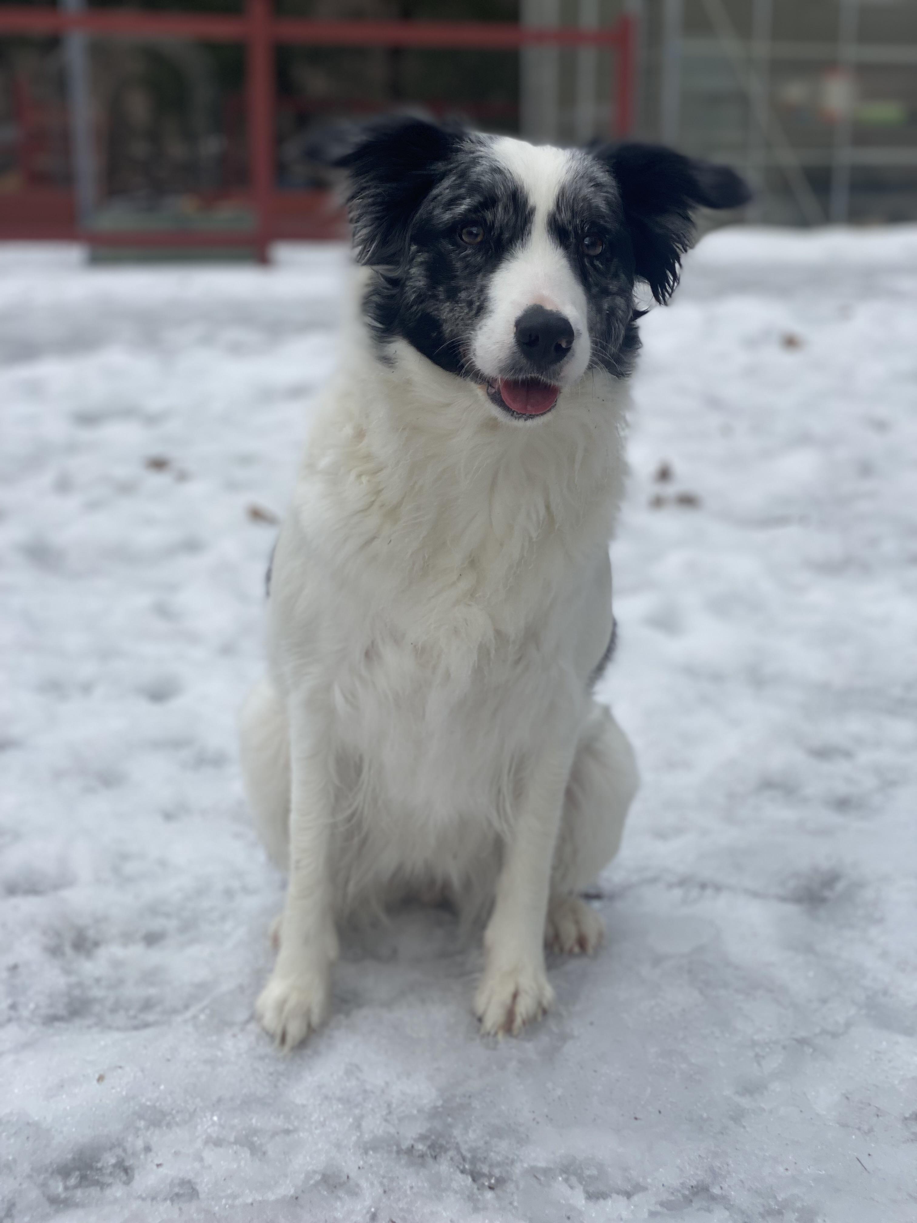 Missy