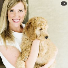 Goldendoodle Puppies from Rosie Doodles AZ