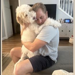 Bernedoodle, Goldendoodle, and Sheepadoodle Puppies from High Desert Doodles