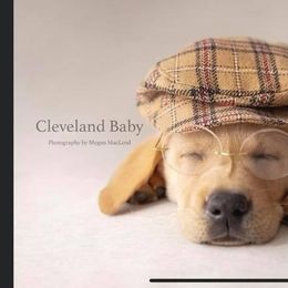 Labrador Retriever Puppies from Cary’s Buck Creek Retrievers