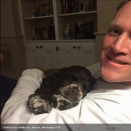 Cocker Spaniel Puppies from Chloe's Cocker Spaniels