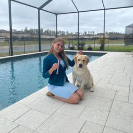 Flynn aka Yager - Yellow Labrador Retriever puppy in Orlando, Florida from Kychel Labradors