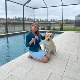 Flynn aka Yager - Yellow Labrador Retriever puppy in Orlando, Florida from Kychel Labradors