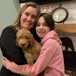 Goldendoodle Puppies from FurEver Friends Doodles