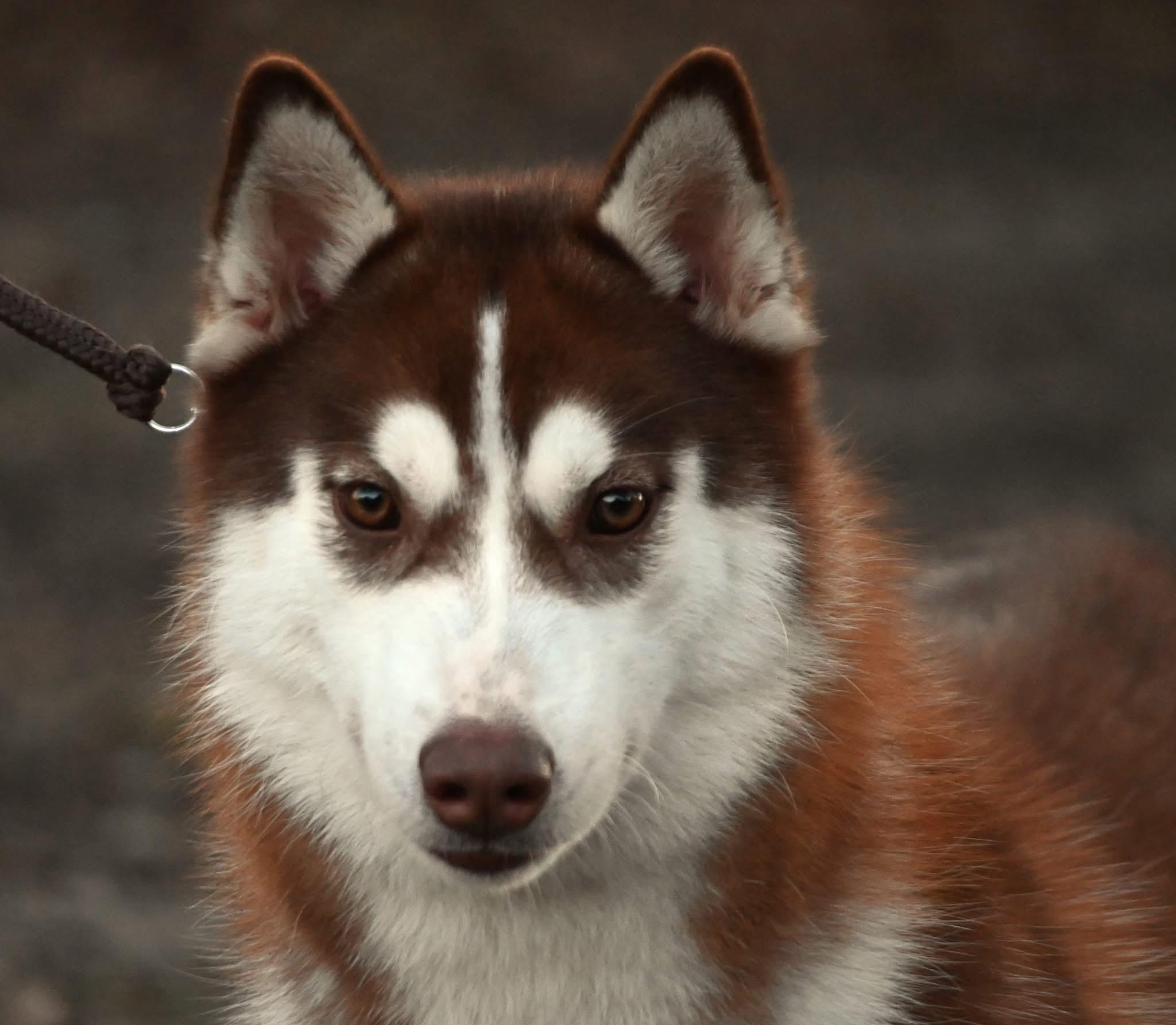 Unnamed