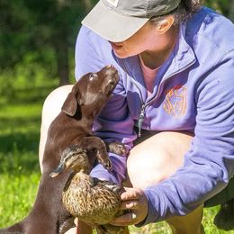 Labrador Retrievers from Backwoods Pond Labradors LLC