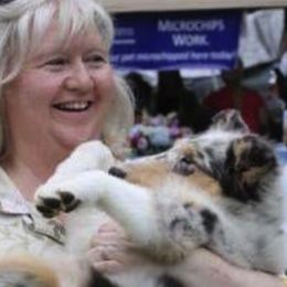 Collies from Caroline Jones