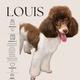 Louie V
