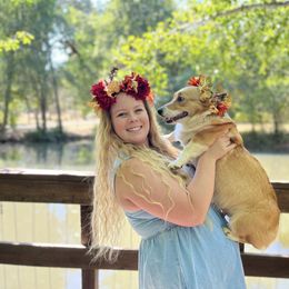Eevee - Pembroke Welsh Corgi