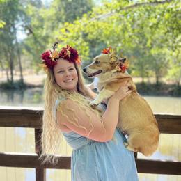 Eevee - Pembroke Welsh Corgi