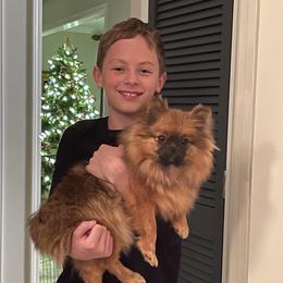 Pomeranian Puppies from Blue Ridge Pomeranian