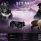 Aslan