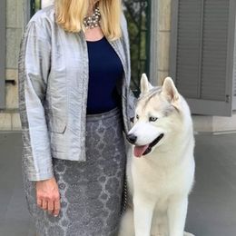 Siberian Huskies from Flying Tigress Siberians
