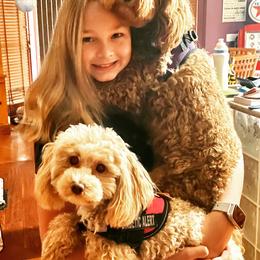 Goldendoodle All Grown Up from Scherrer Sweet Goldendoodles