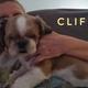 Cliff