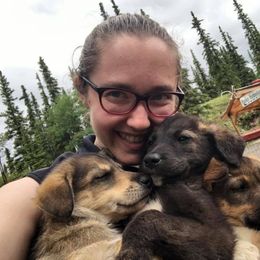 Alaskan Husky Puppies from Fun On The Run Kennel