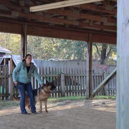 German Shepherd All Grown Up from End of the Trail Farm & Kennels