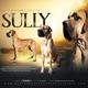 Sully