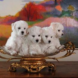 Bichon Frise puppies from Patchwork Bedlington Terriers and Bichon Frise