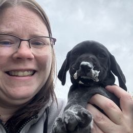 Bright Pink Collar Male - Black roan male German Shorthaired Pointer puppy in Onalaska, Washington from Boonies Farms