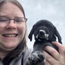 Bright Pink Collar Male - Black roan male German Shorthaired Pointer puppy in Onalaska, Washington from Boonies Farms