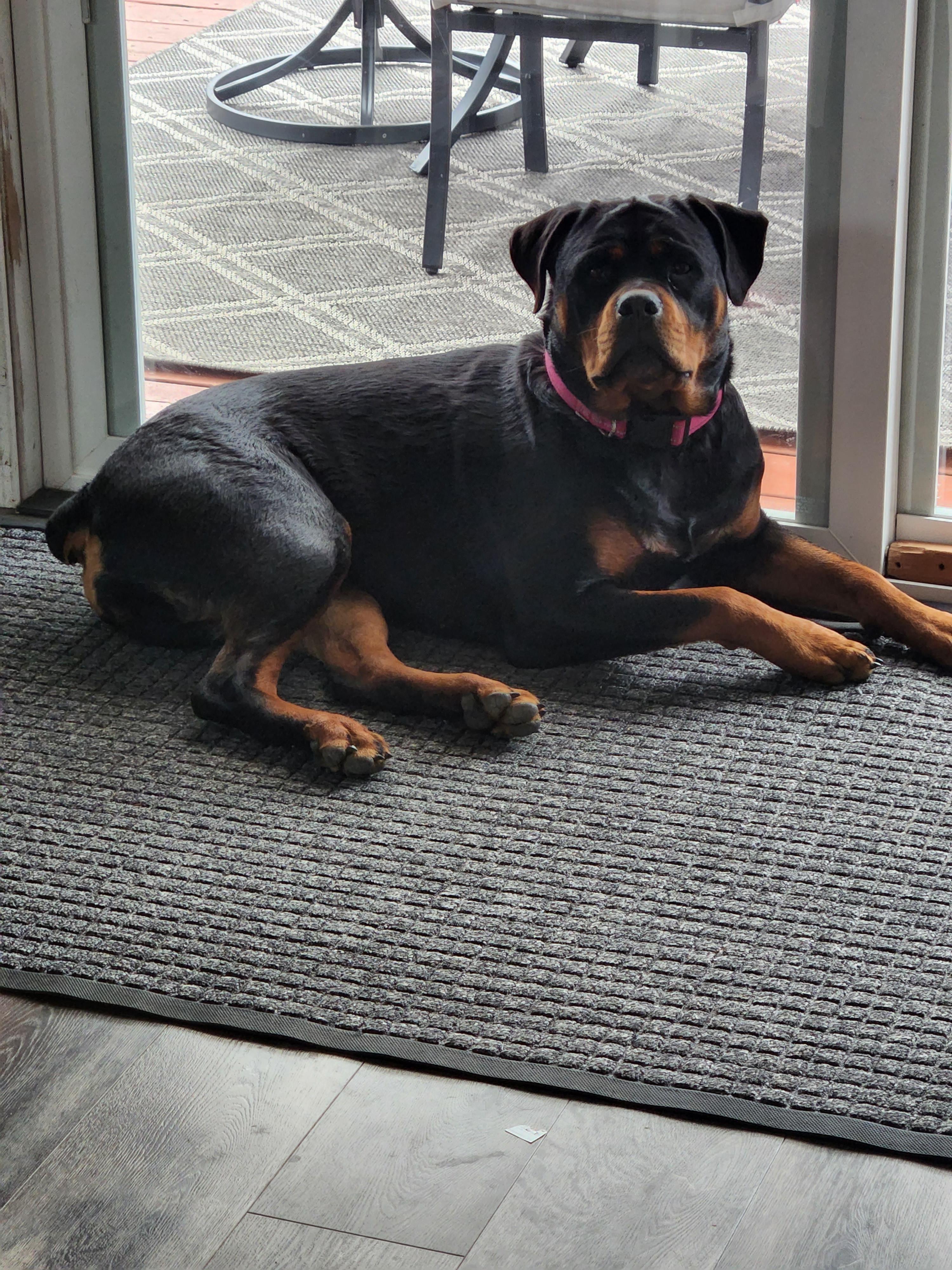 Nala