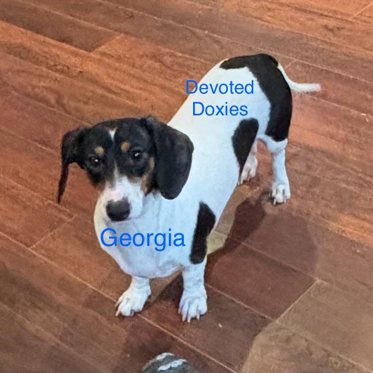 Georgia