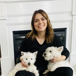 West Highland White Terrier Puppies from Bountiful Westies of West Michigan