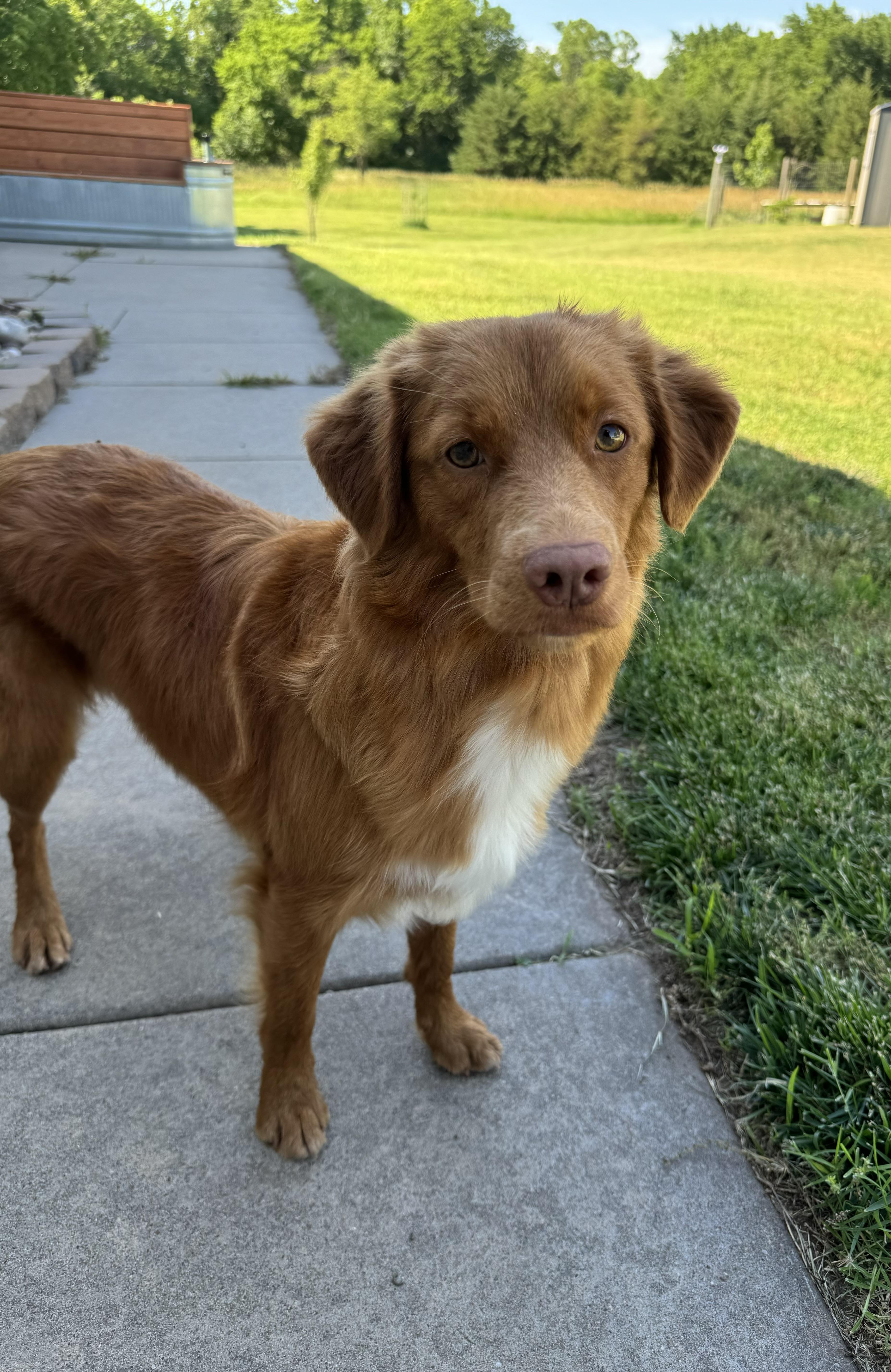 Oakley