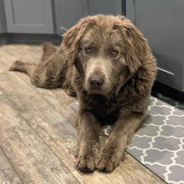 Faith - Newfoundland