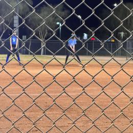 Goldendoodle Puppies from Wrigley's Doodles