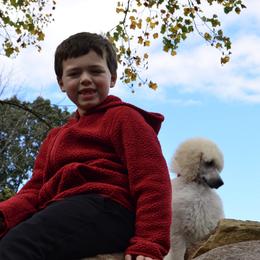 Poodle Puppies from D and D Standard Poodles