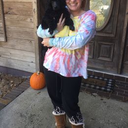 Poodle Puppies from Ocala Standard Poodles