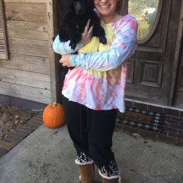 Poodle Puppies from Ocala Standard Poodles