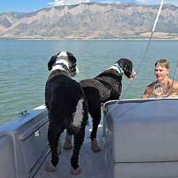 Sheepadoodle All Grown Up from My Sheepadoodle