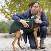 "Czerny, Kel Simoon Toccata " Azawakh Puppies from Kel Simoon Azawakh