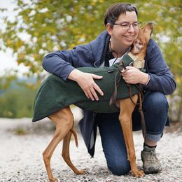 "Czerny, Kel Simoon Toccata " Azawakh Puppies from Kel Simoon Azawakh