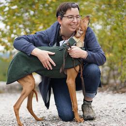 "Czerny, Kel Simoon Toccata " Azawakh Puppies from Kel Simoon Azawakh