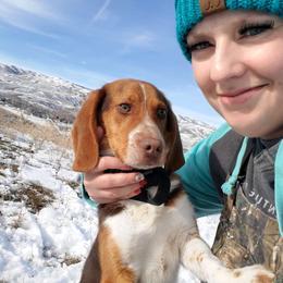 Copper - Beagle