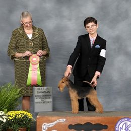 Raven - Lakeland Terrier