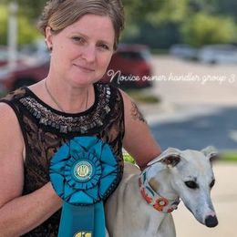 Poodles and Whippets from Moonbeam Whippets And Poodles