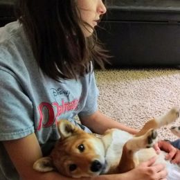 Shiba Inu Puppies from Shiba Inu Chronicles
