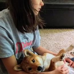Shiba Inu Puppies from Shiba Inu Chronicles