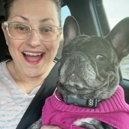 Lola - French Bulldog