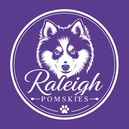 Pomsky Puppies from Raleigh Mini Pomskies